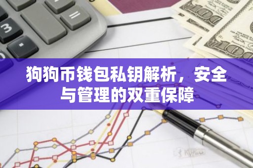 狗狗币钱包私钥解析，安全与管理的双重保障