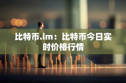 比特币.im：比特币今日实时价格行情