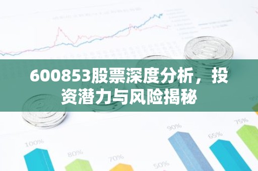 600853股票深度分析，投资潜力与风险揭秘