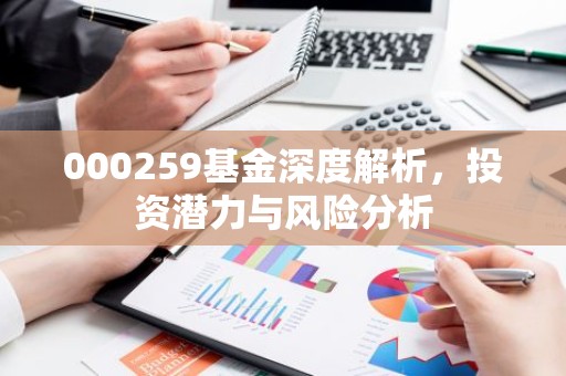 000259基金深度解析，投资潜力与风险分析