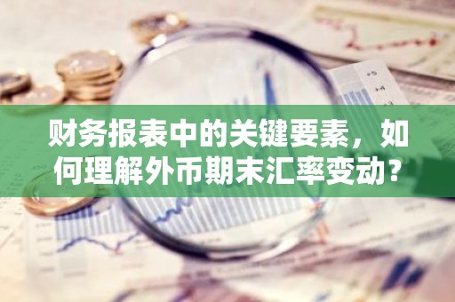 财务报表中的关键要素，如何理解外币期末汇率变动？