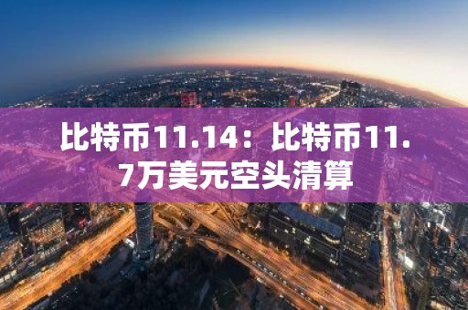 比特币11.14：比特币11.7万美元空头清算