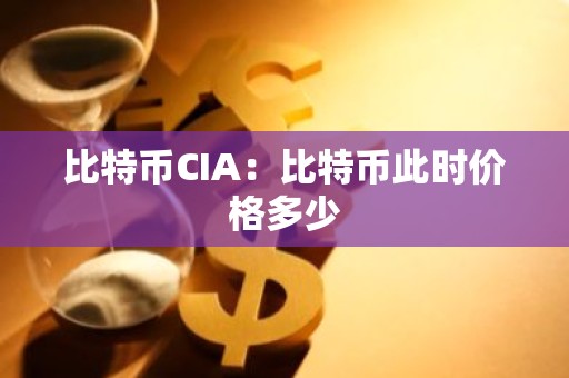 比特币CIA：比特币此时价格多少