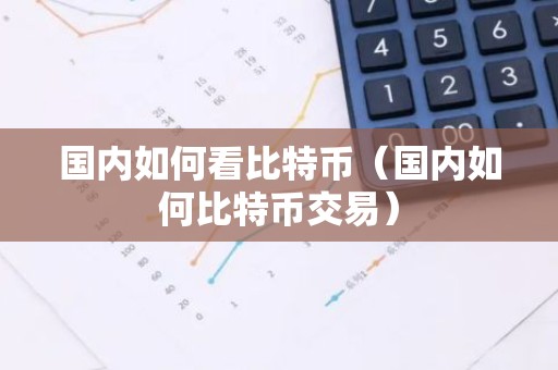 国内如何看比特币（国内如何比特币交易）