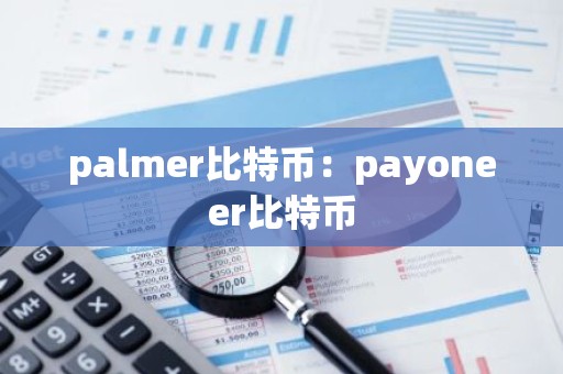 palmer比特币：payoneer比特币