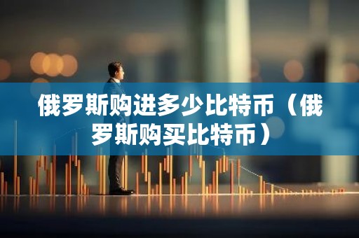 俄罗斯购进多少比特币（俄罗斯购买比特币）