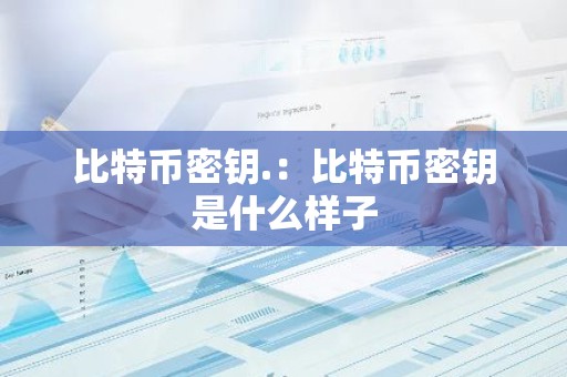 比特币密钥.：比特币密钥是什么样子