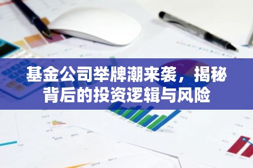 基金公司举牌潮来袭，揭秘背后的投资逻辑与风险