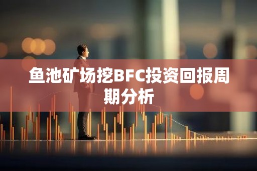鱼池矿场挖BFC投资回报周期分析