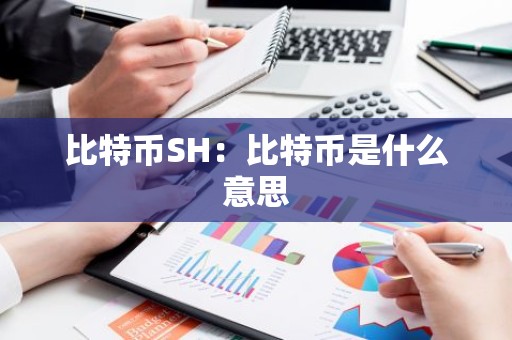 比特币SH：比特币是什么意思