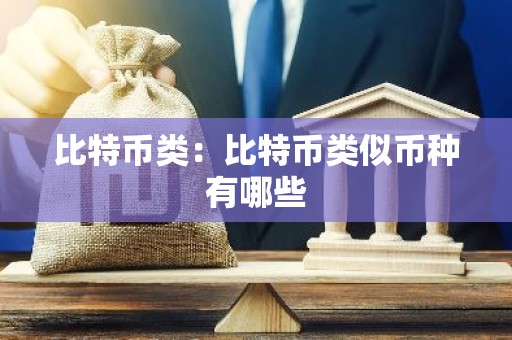 比特币类：比特币类似币种有哪些