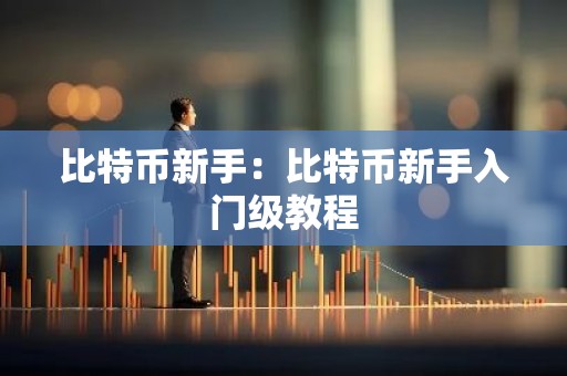 比特币新手：比特币新手入门级教程
