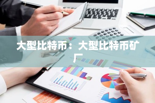 大型比特币：大型比特币矿厂