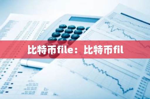 比特币file：比特币fil
