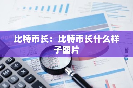 比特币长：比特币长什么样子图片