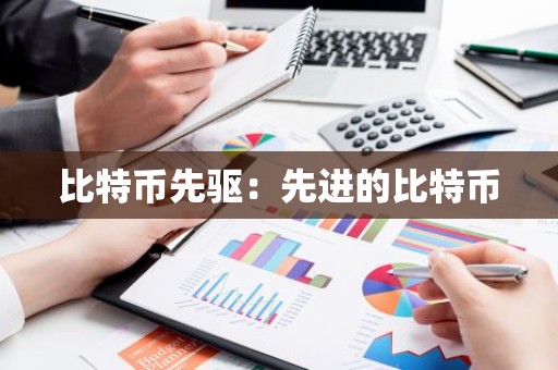 比特币先驱：先进的比特币
