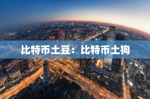 比特币土豆：比特币土狗