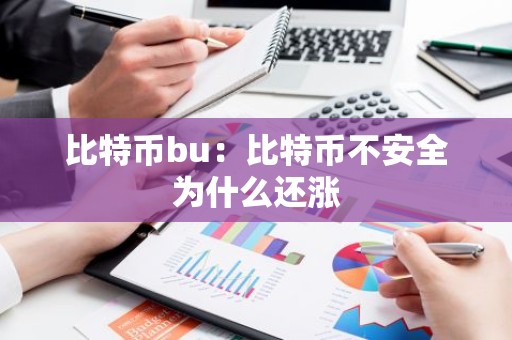 比特币bu：比特币不安全为什么还涨