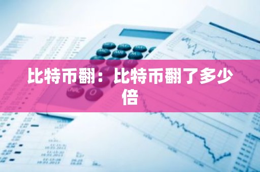 比特币翻：比特币翻了多少倍