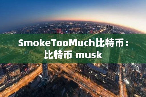 SmokeTooMuch比特币：比特币 musk