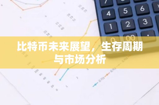 比特币未来展望，生存周期与市场分析