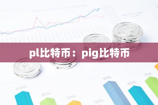 pl比特币：pig比特币