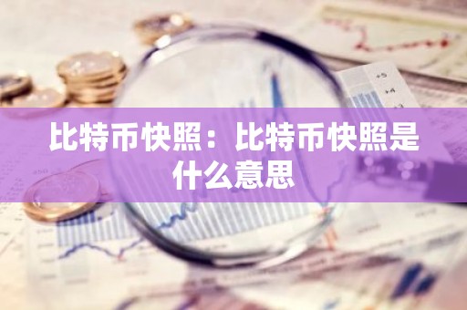 比特币快照：比特币快照是什么意思