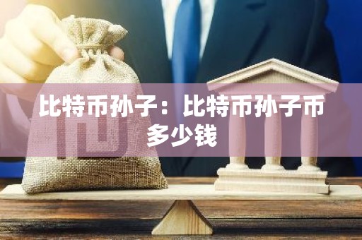 比特币孙子：比特币孙子币多少钱