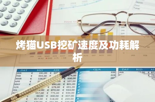 烤猫USB挖矿速度及功耗解析