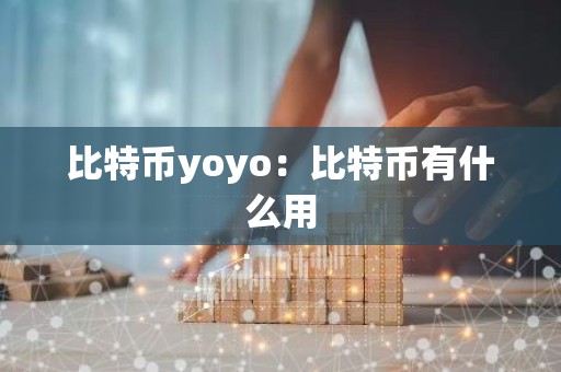 比特币yoyo：比特币有什么用