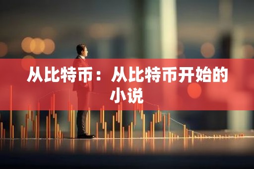 从比特币：从比特币开始的小说