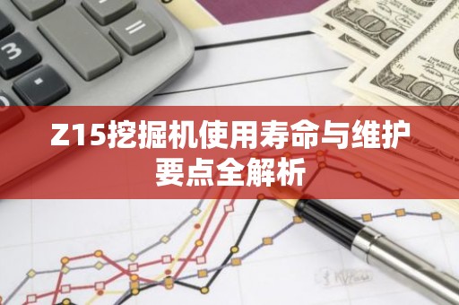Z15挖掘机使用寿命与维护要点全解析