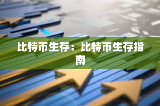 比特币生存：比特币生存指南