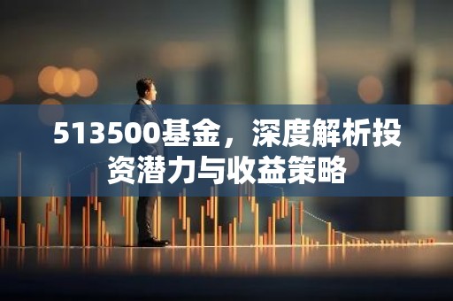 513500基金，深度解析投资潜力与收益策略