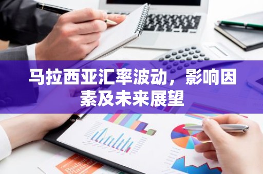 马拉西亚汇率波动，影响因素及未来展望