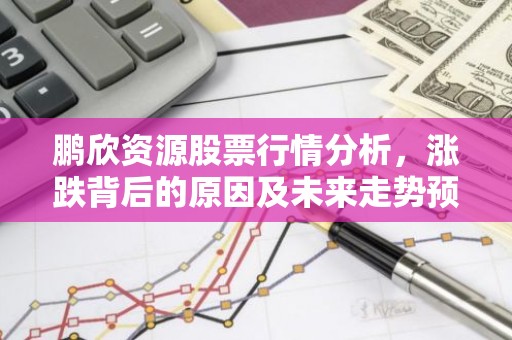 鹏欣资源股票行情分析，涨跌背后的原因及未来走势预测