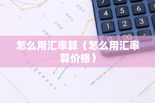 怎么用汇率算（怎么用汇率算价格）