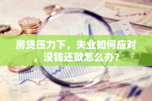 房贷压力下，失业如何应对，没钱还款怎么办？