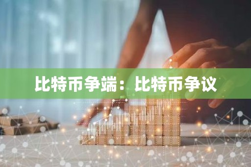 比特币争端：比特币争议