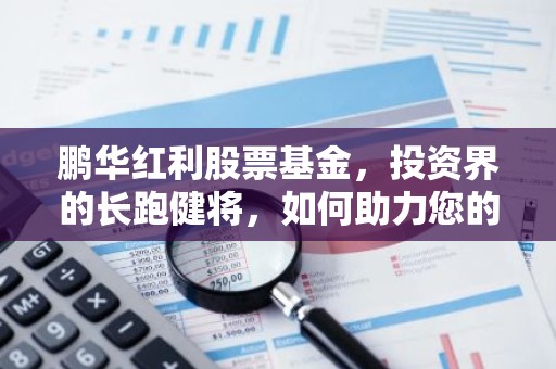 鹏华红利股票基金，投资界的长跑健将，如何助力您的财富增值？