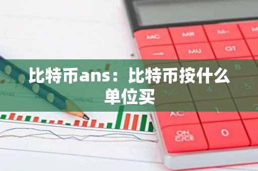 比特币ans：比特币按什么单位买