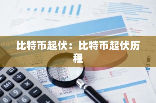 比特币起伏：比特币起伏历程