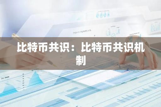 比特币共识：比特币共识机制