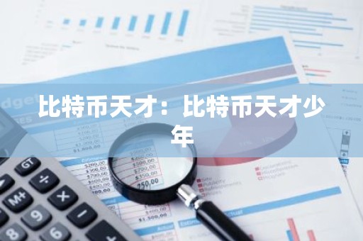 比特币天才：比特币天才少年