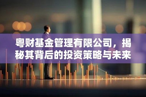 粤财基金管理有限公司，揭秘其背后的投资策略与未来发展趋势
