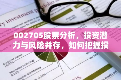002705股票分析，投资潜力与风险并存，如何把握投资机会？