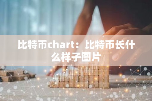 比特币chart：比特币长什么样子图片