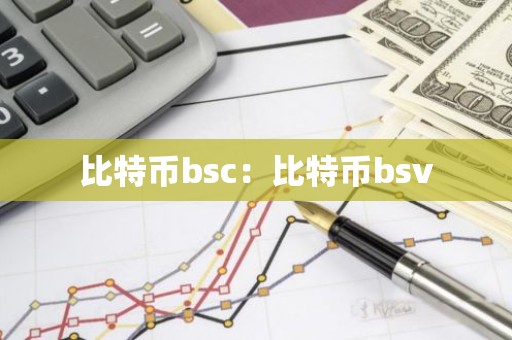 比特币bsc：比特币bsv