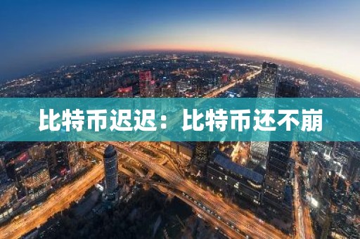 比特币迟迟：比特币还不崩