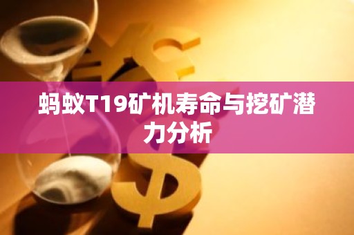 蚂蚁T19矿机寿命与挖矿潜力分析
